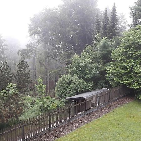 Ferienwohnung Traumhaft Санкт-Андреасберг Екстер'єр фото